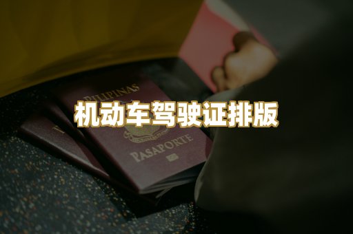 机动车驾驶证排版